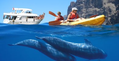 kayak avistamiento cetaceos los gigantes tenerife